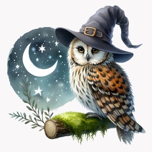 Coruja Clipart, 10 PNG, Chapéu de Bruxa Clipart, Amante de Pássaros, Clipart Mágico, Clipart de Tronco,