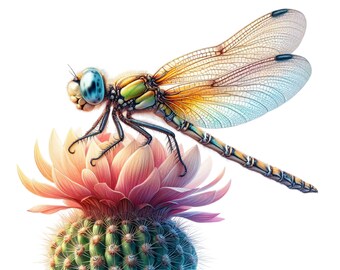 10 PNG Dragonfly Cactus Flower Clipart, Botanical Insect Illustration, Detailed Nature Art