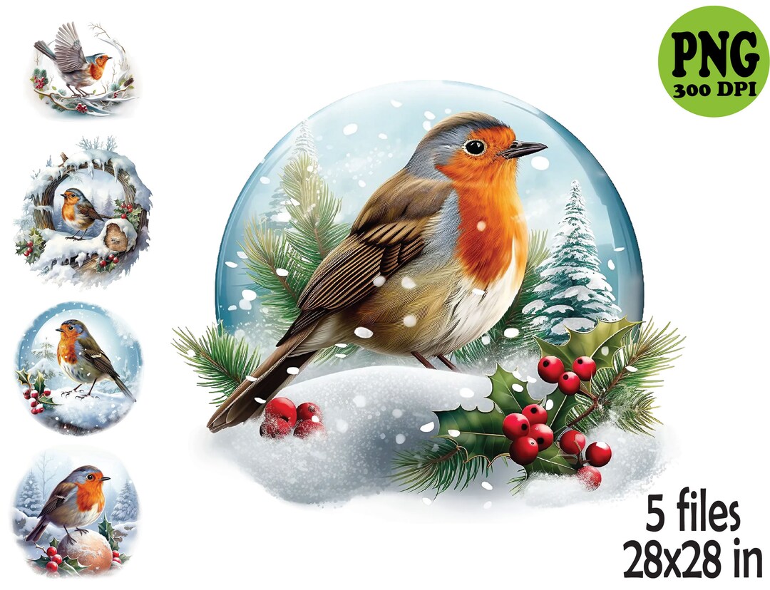 Christmas Robin Clipart Sublimation PNG, Winter Robin Sublimation - Etsy UK