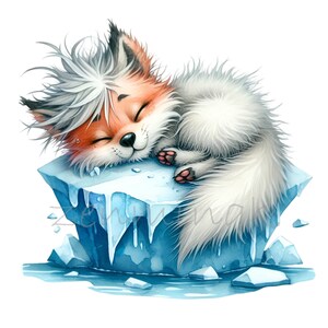 15 Süßer Polarfuchs PNG Clipart Schlafen auf dem Eisberg, flauschiger Schwanz, geschlossene Augen, schmelzendes Eis, Winter Tier Kunst Design