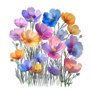 Peut inclure: Une peinture à l'aquarelle d'un bouquet de fleurs de cosmos colorées. Les fleurs sont dans des tons de rose, violet, bleu, jaune et orange. Les fleurs sont disposées dans un style lâche et naturel.