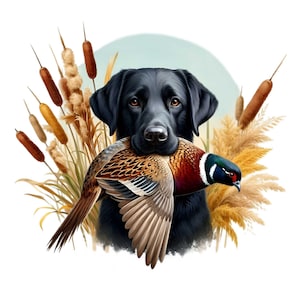 Hunting Dog with Pheasant Clipart PNG, 12 Labrador Retriever Digital Art, Upland Game Bird Hunting Decor, Rustic Autumn Printable