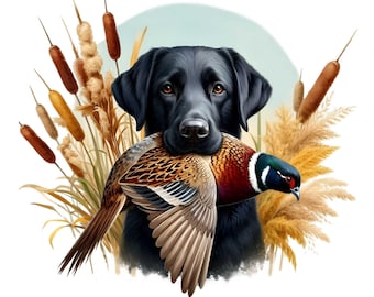 May include: A black Labrador Retriever dog with a pheasant in its mouth, surrounded by tall brown reeds.