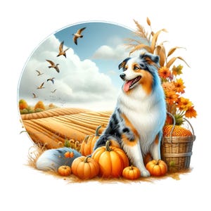 11 Jesienny pies Clipart PNG, Owczarek australijski z dyniami, Tło jesiennego pola, Scena żniw, Słodka ilustracja psa farmowego