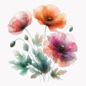 10 pavot aquarelle PNG, Clipart Floral Transparent, Illustration de fleurs sauvages élégantes, téléchargement numérique botanique