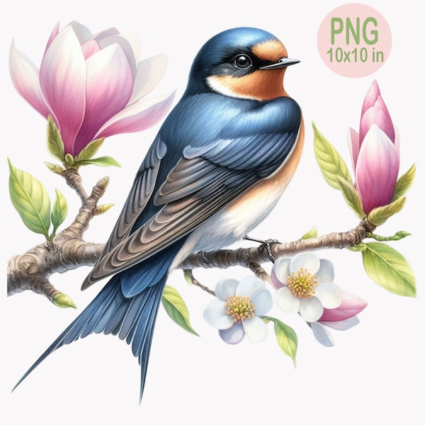 Swallow Clipart Illustration, Cherry Blossom,  Springtime Flowers, 10 PNG