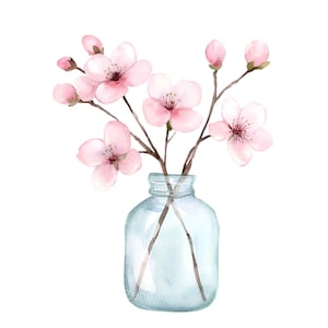 24 Aquarell Kirschblüte PNG in Glasvase Clip Art, Frühlingsblumendesign PNG, Minimalistische Botanische Illustration