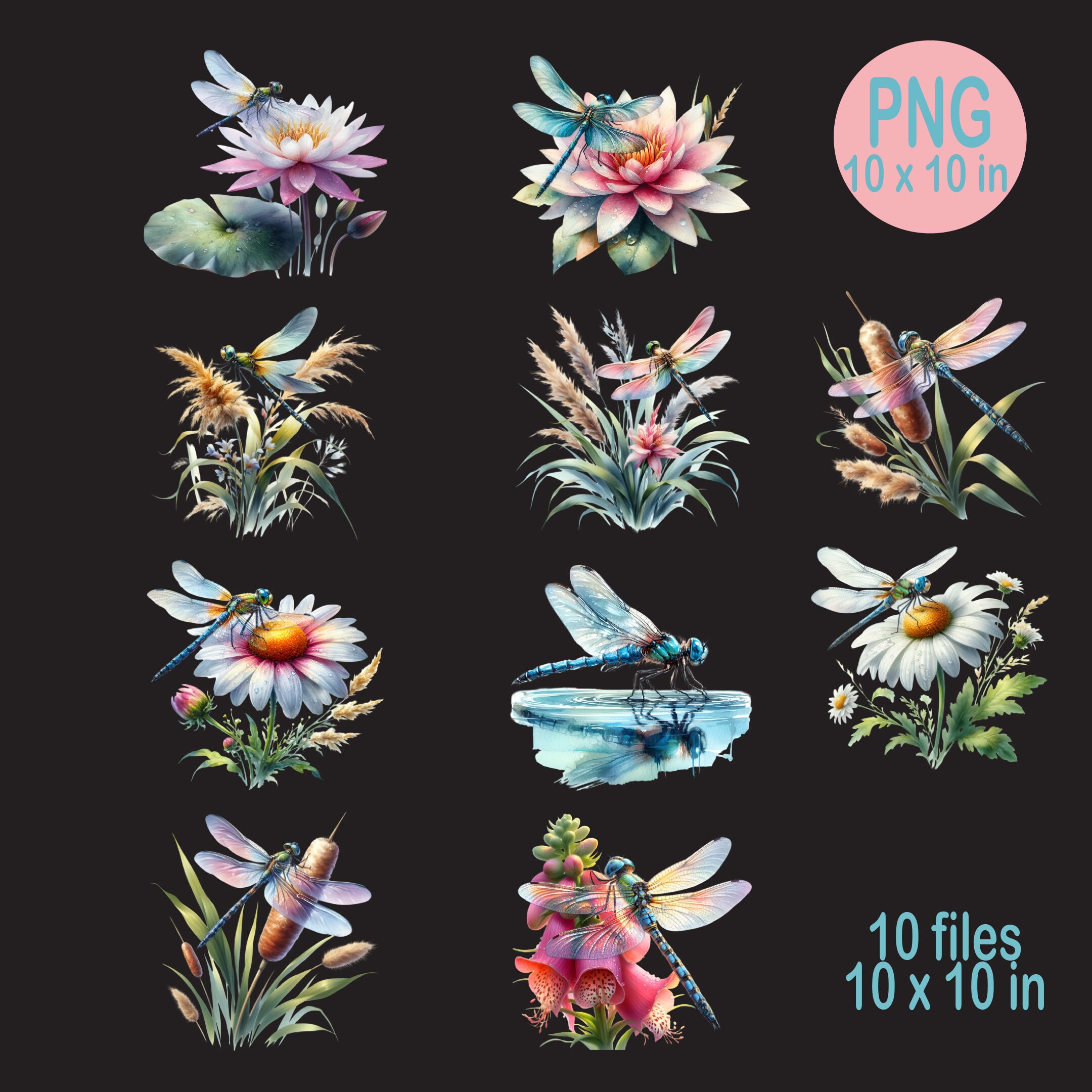 10 PNG Dragonfly on Lotus Flower Clip Art, Floral Insect Illustration ...