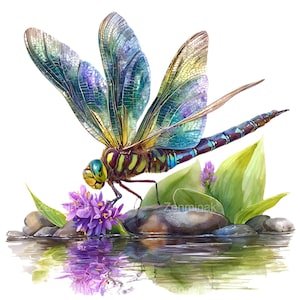 Puede incluir: Ilustración en acuarela de una libélula con alas iridiscentes, posada cerca de flores moradas y hojas verdes. La libélula tiene un cuerpo detallado con tonos azules, verdes y amarillos, sobre un fondo blanco.