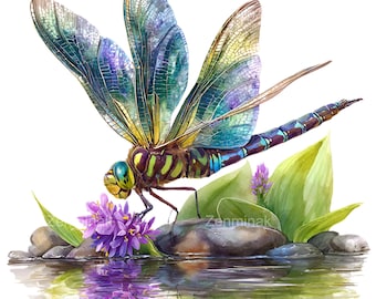 15 PNG Colorful Dragonfly PNG – Watercolor Clipart – Nature Insect Illustration for Crafts, Scrapbooking, Cards and Botanical Projects