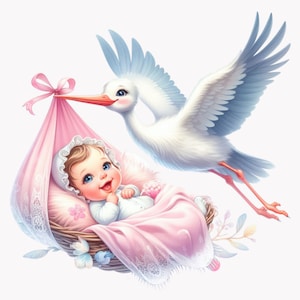 Cicogna con bambino PNG - 10 Clipart arrivo bambino, carina arte digitale per la cameretta dei bambini, illustrazione di neonato e cicogna