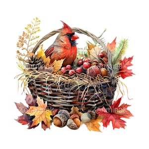 15 Cardinal Bird Autumn Basket PNG-clipart met bladeren, eikels, dennenappels, rode bessen, rustiek bos illustratie