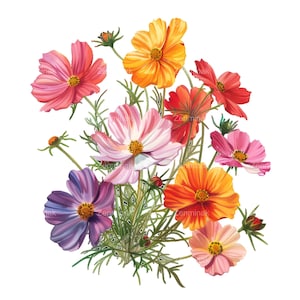 17 fiori di cosmo acquerello PNG - Clipart di bouquet floreale colorato per artigianato digitale e arte murale