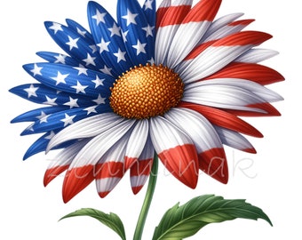 Könnte beinhalten: Eine weiße Gänseblümchen mit roten und blauen Streifen auf den Blütenblättern, die an die amerikanische Flagge erinnern. Die Mitte der Blume ist gelb mit orangefarbenen Akzenten.