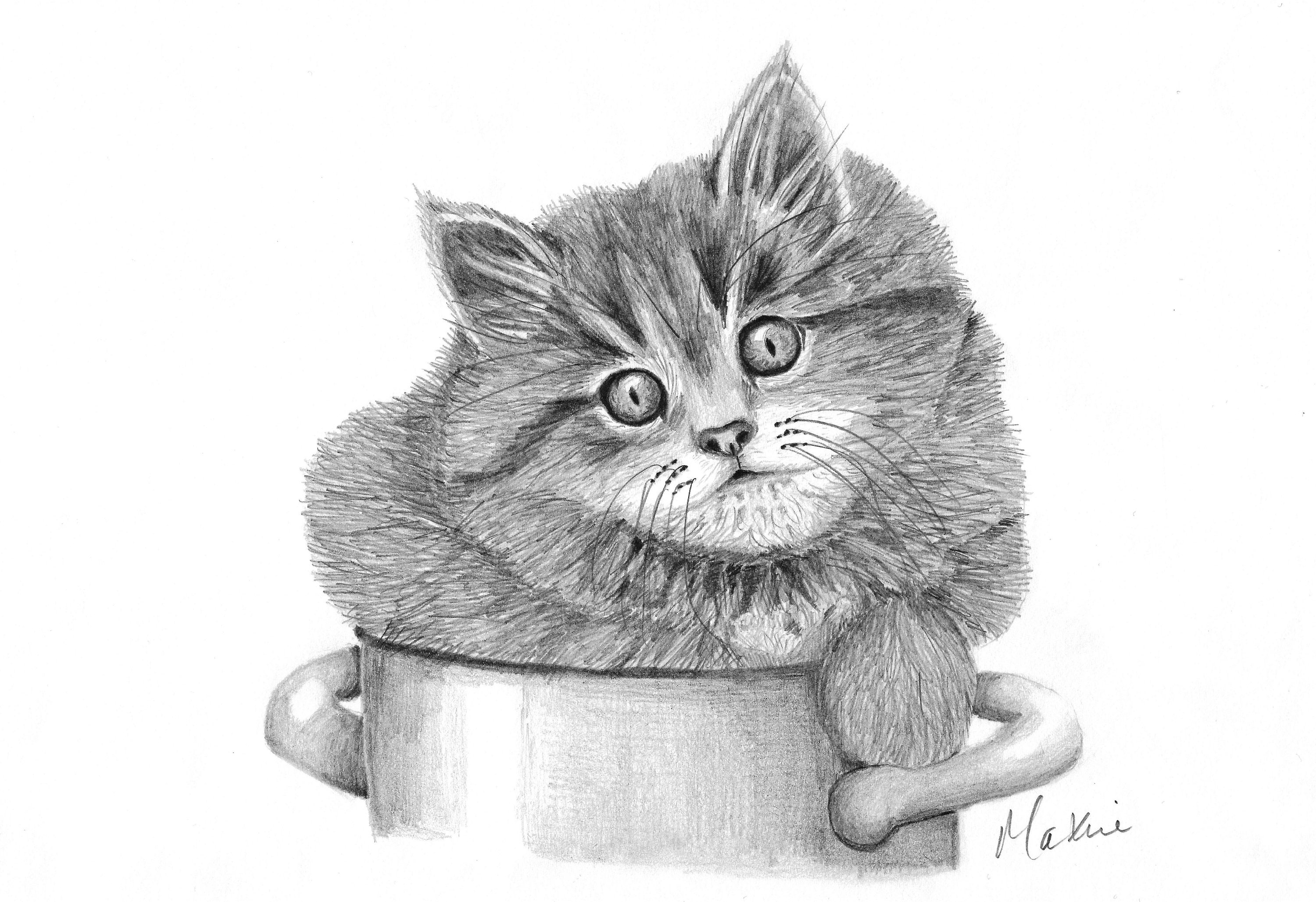 Original kitten in a pot pencil drawing size a4