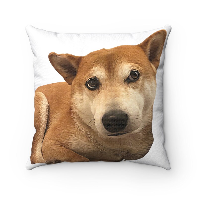 Custom face pet pillow custom dog pillow pet portrait Etsy