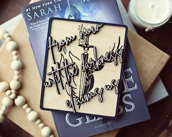 Darkness Claims us Sign, Throne of Glass, Spicy booktok Sign, booktok sign, smut reader, bookshelf decor, smut sign, bookshelf sign