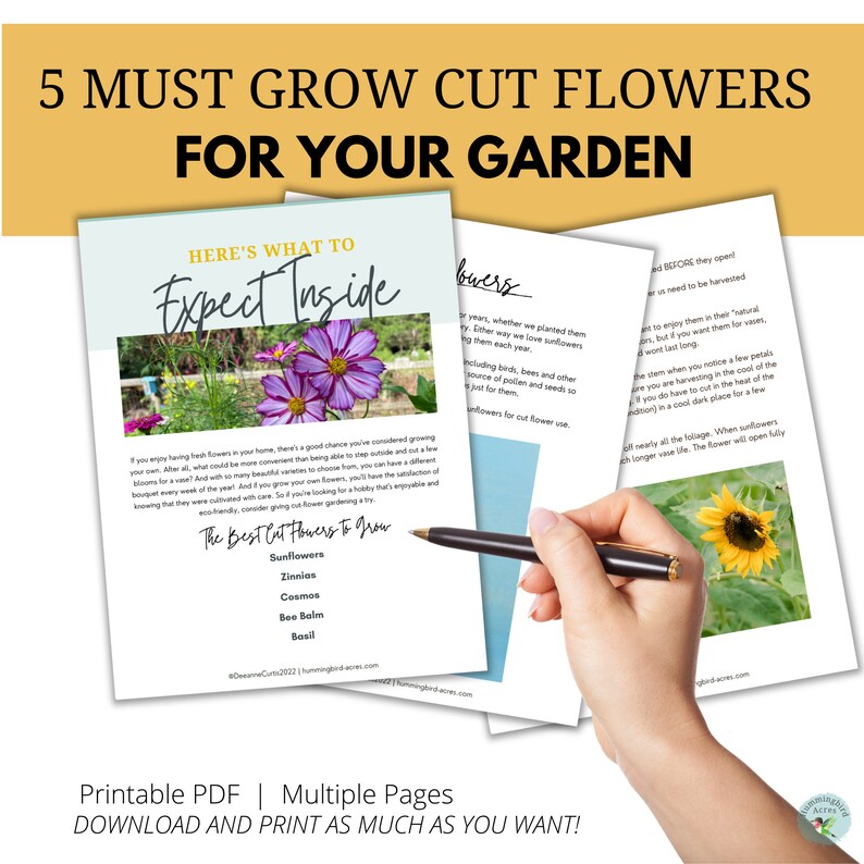 5 Must Grow Cut Flowers for Your Garden Cutting Garden Cut Etsy