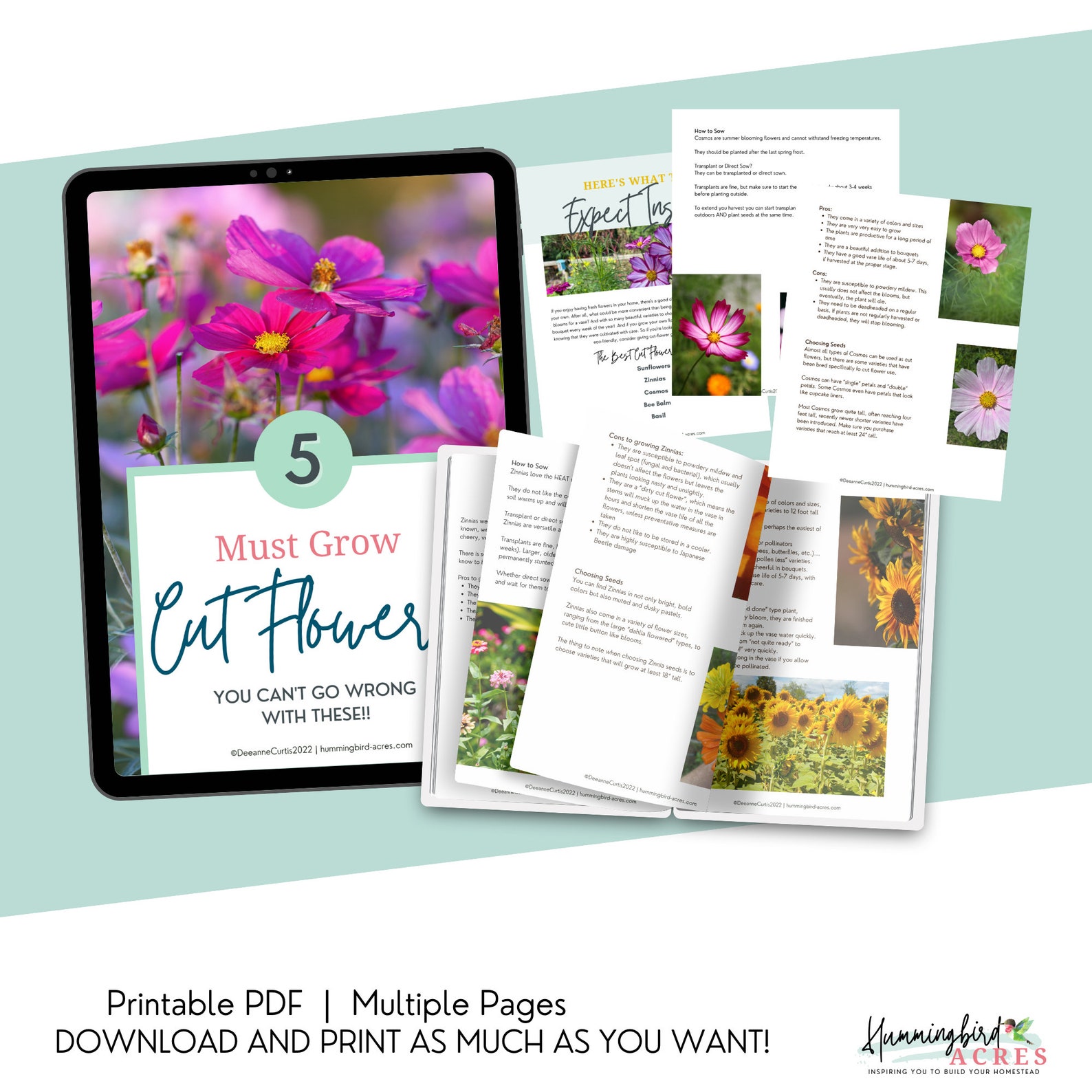 5 Must Grow Cut Flowers for Your Garden Cutting Garden Cut Etsy