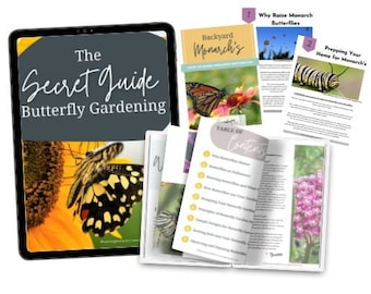 The Secret Guide to Butterfly Gardening