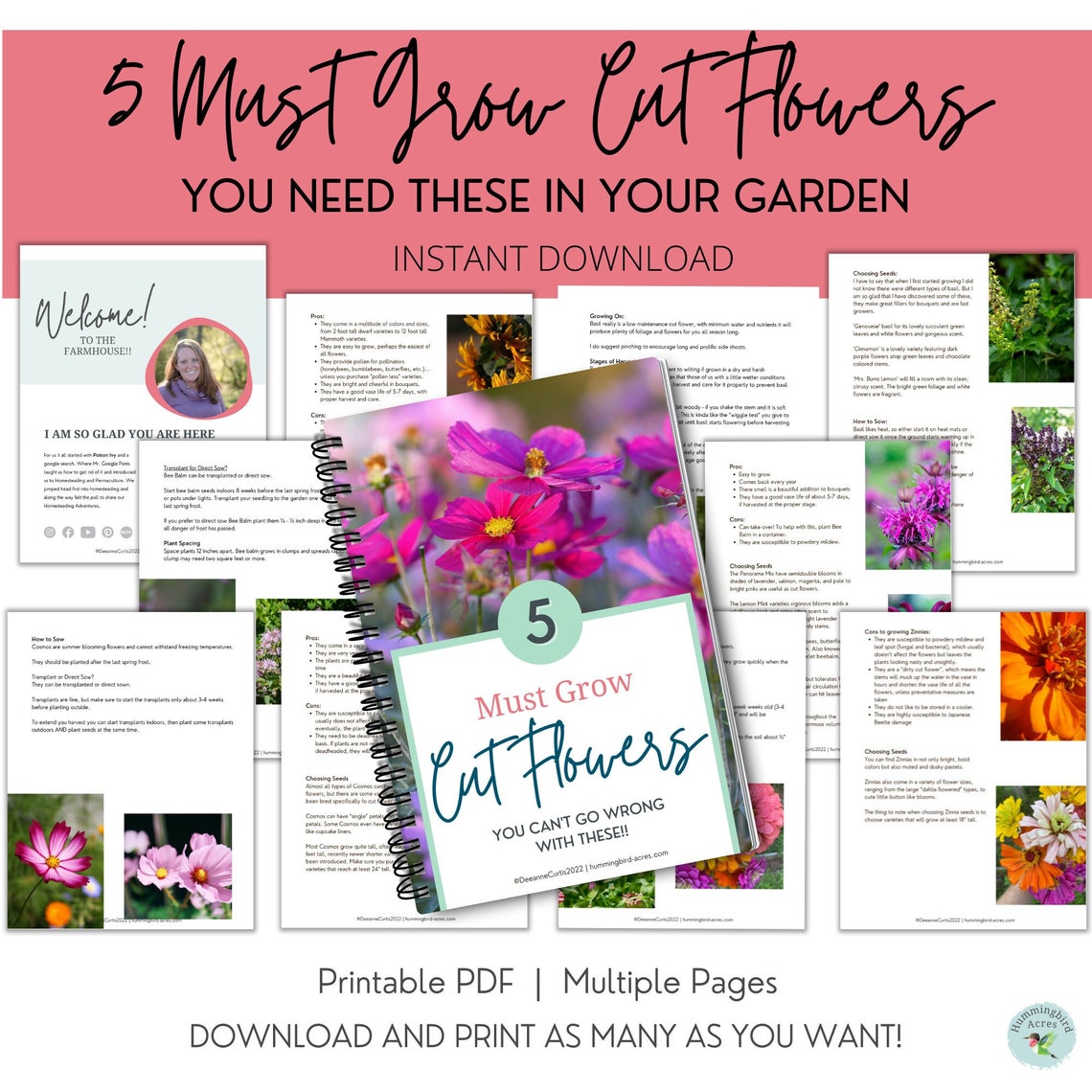 5 Must Grow Cut Flowers for Your Garden Cutting Garden Cut Etsy