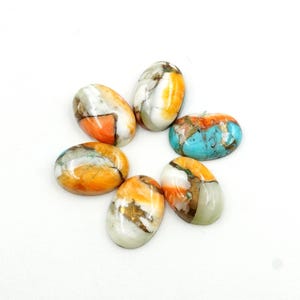 Oyster Turquoise Cabochons: AAA Oval Gemstones, Flat Back - 5/10 Pcs