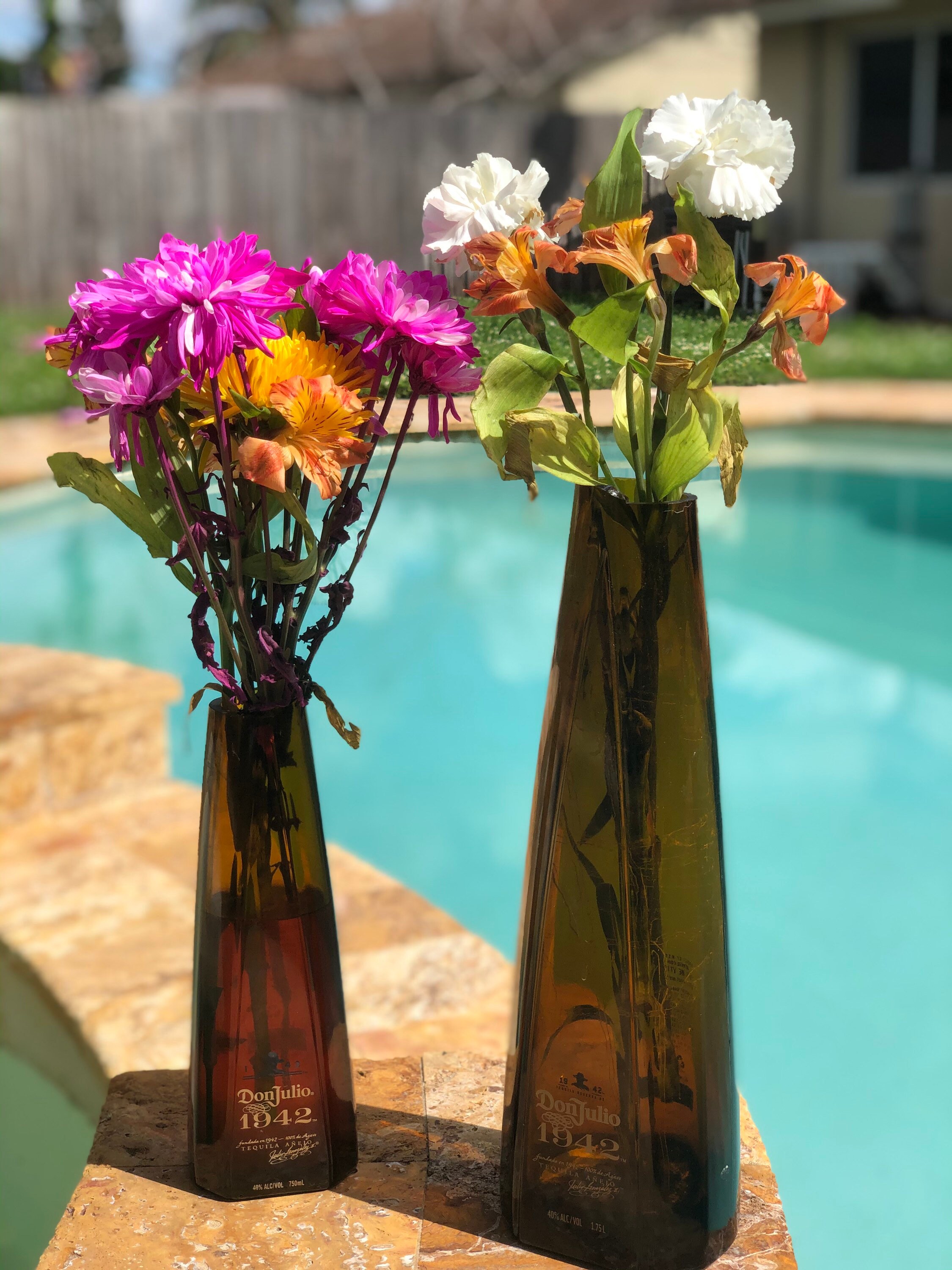 Don Julio 1942 Tequila Flower Vase Cut Liquor Bottle 750ml or Etsy