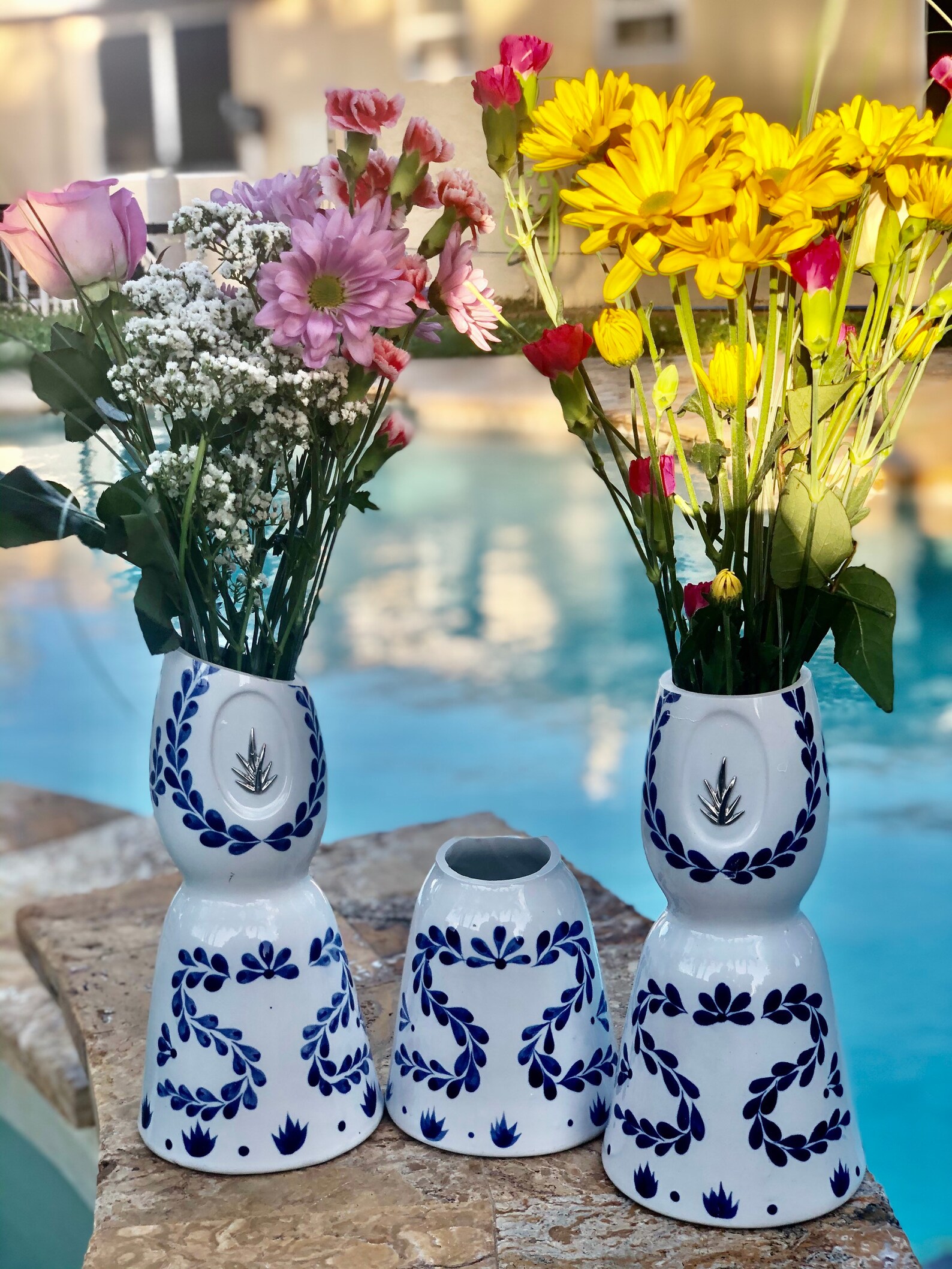 One Clase Azul Tequila Empty Tall Flower Vase or Short Cut Etsy