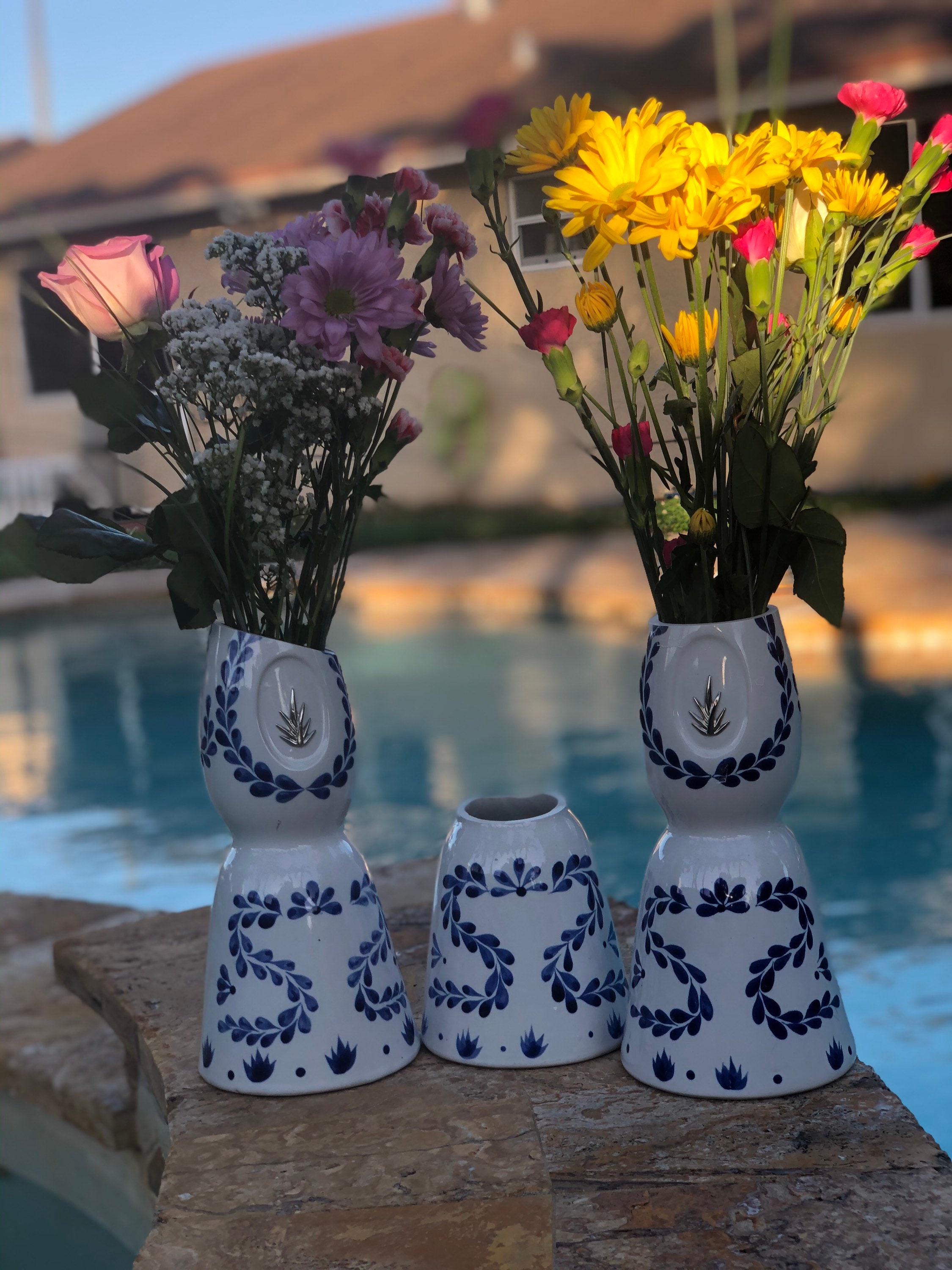 One Clase Azul Tequila Empty Tall Flower Vase or Short Cut Etsy