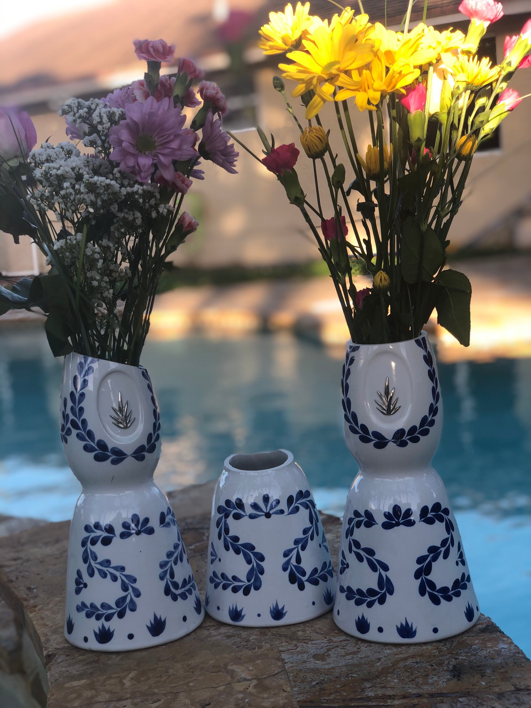 One Clase Azul Tequila Empty Tall Flower Vase or Short Cut Etsy