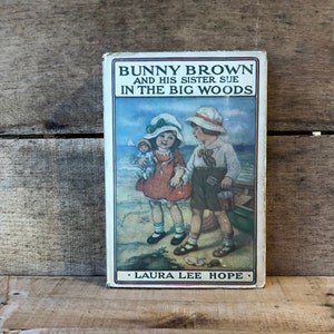 Bunny Brown and His Sister Sue in the Big Woods by Laura Lee Hope: 1917
