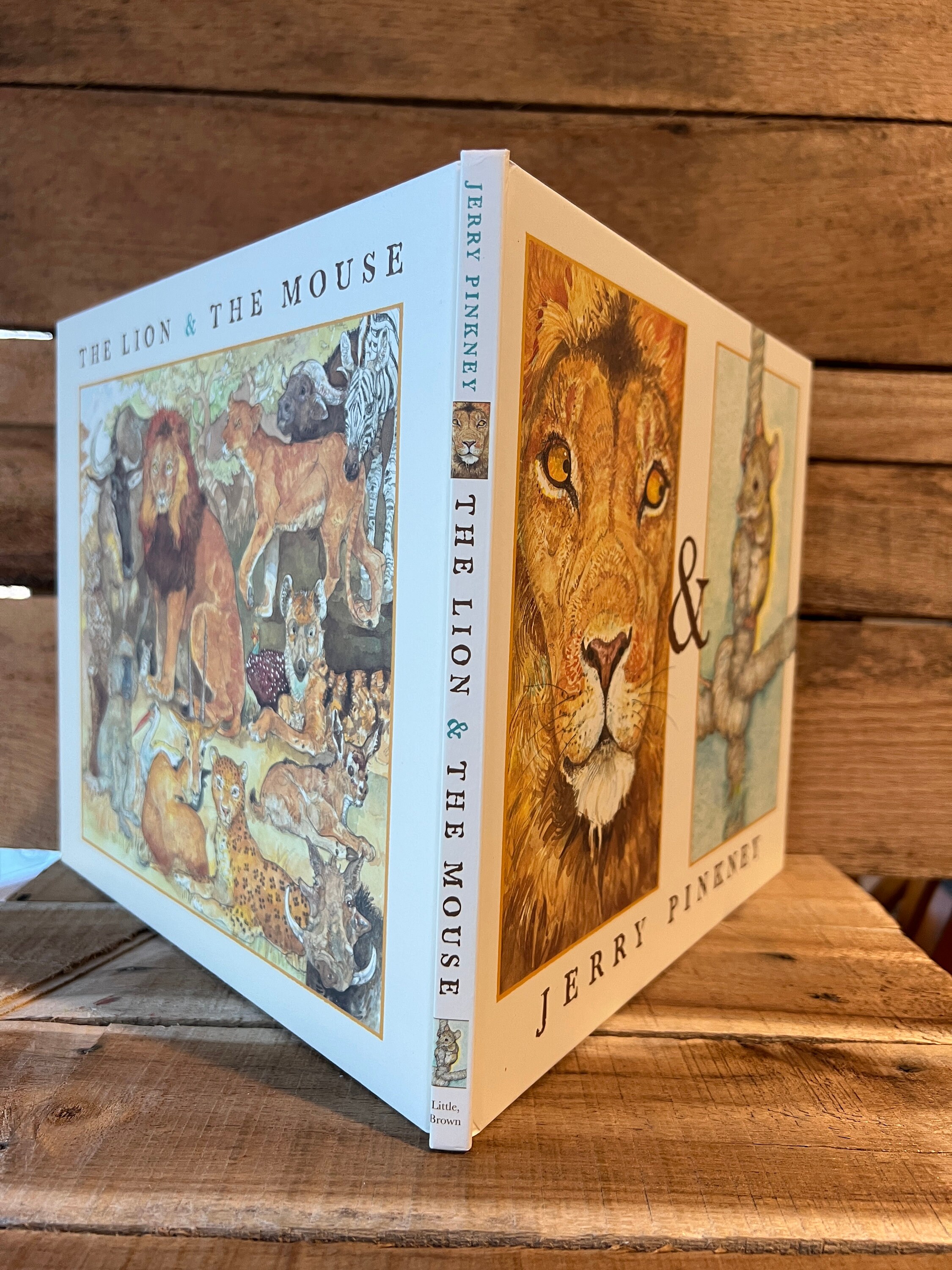 The Lion and the Mouse by Jerry Pinkney: With Dust Jacket 2009 First Edition - Etsy