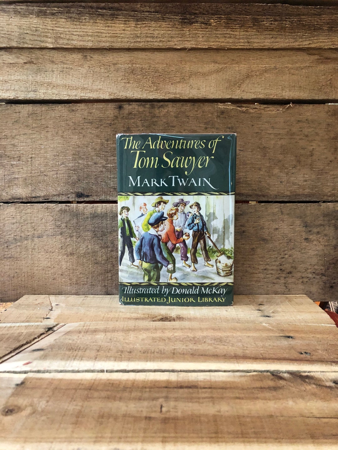 The Adventures of Tom Sawyer by Mark Twain, Illustrated Junior Library ...