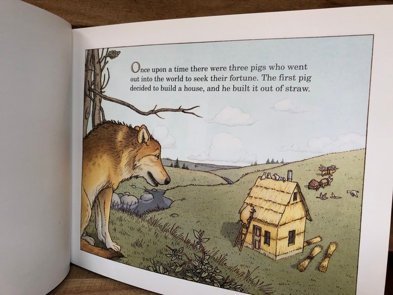 The Three Pigs by David Wiesner: With Dust Jacket 2001 | Etsy