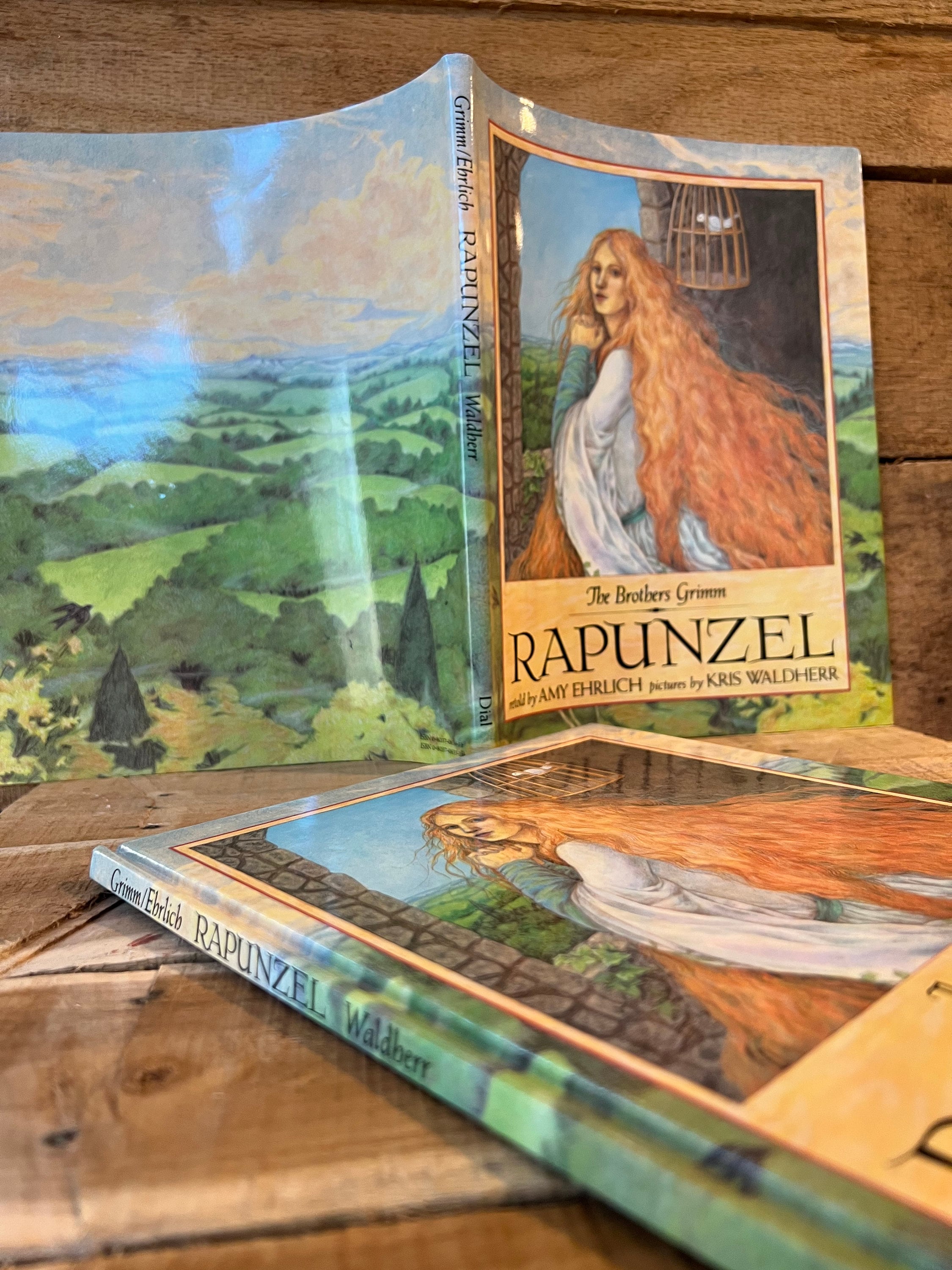 Rapunzel by the Brothers Grimm, Retold by Amy Ehrlich, Pictures by