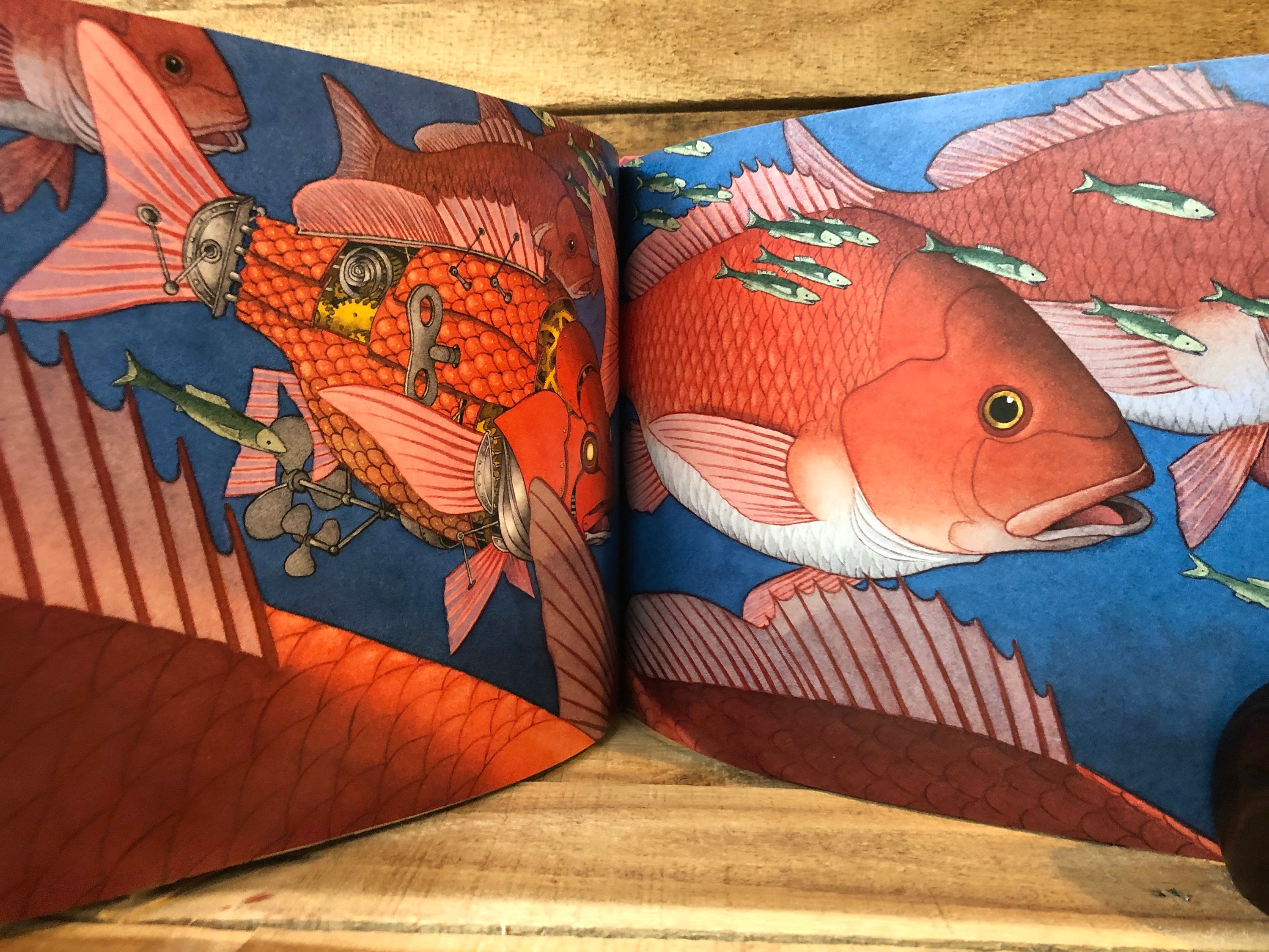 Flotsam by David Wiesner With Dust Jacket 2006 Etsy