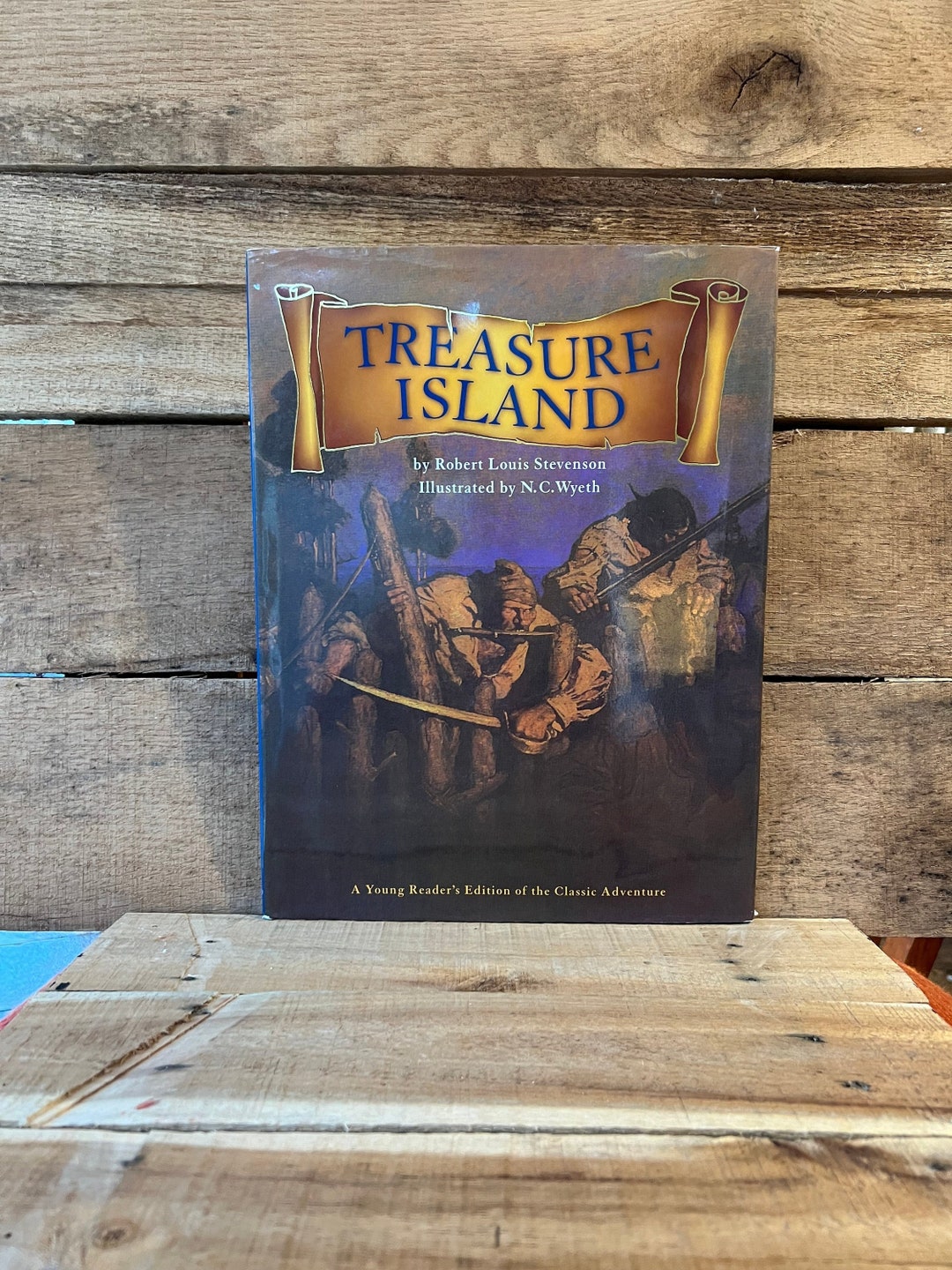 Treasure Island by Robert Louis Stevenson, Illustrated by N. C.