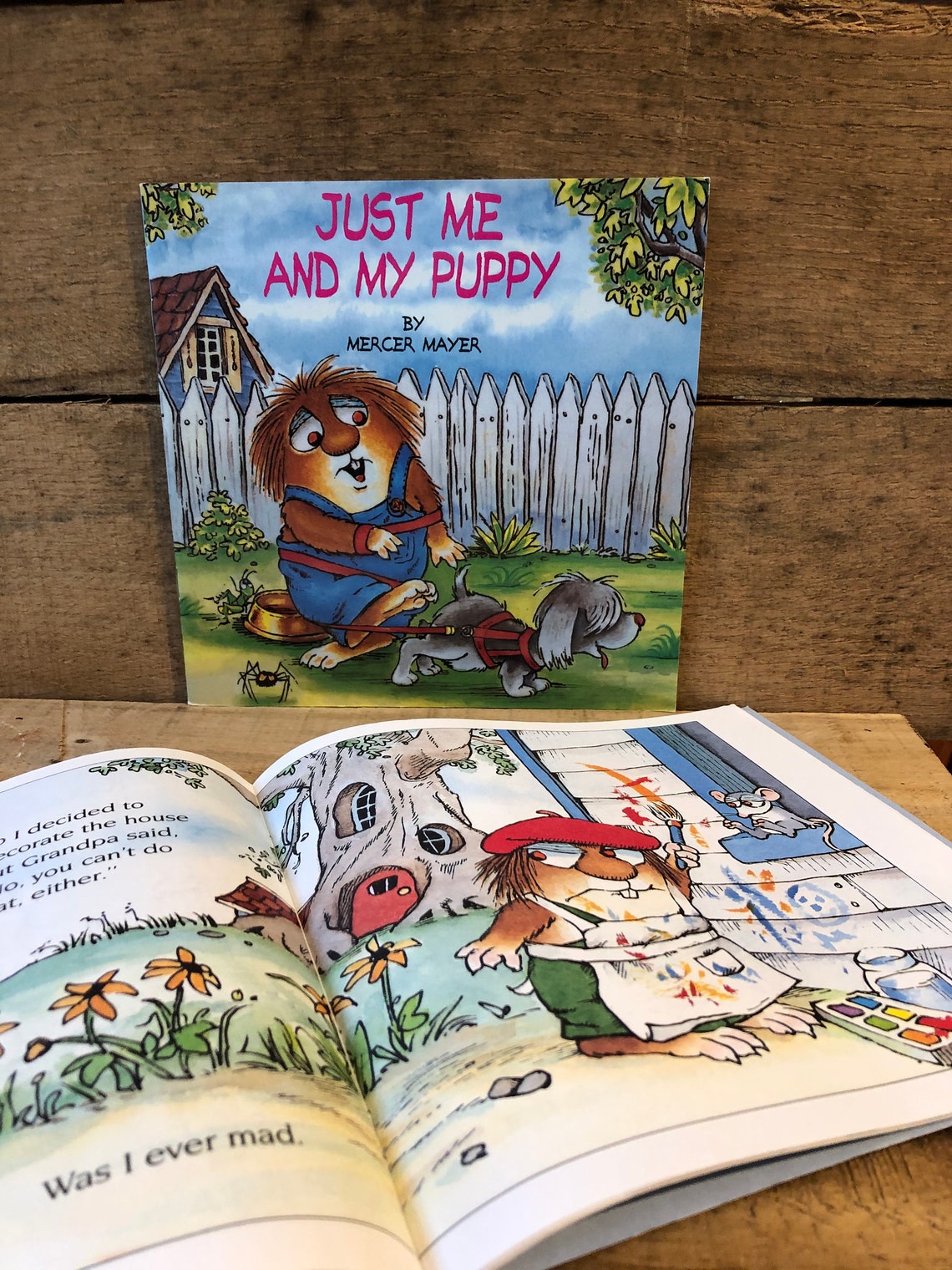 Mercer Mayer Set of Five Books Little Critter Etsy