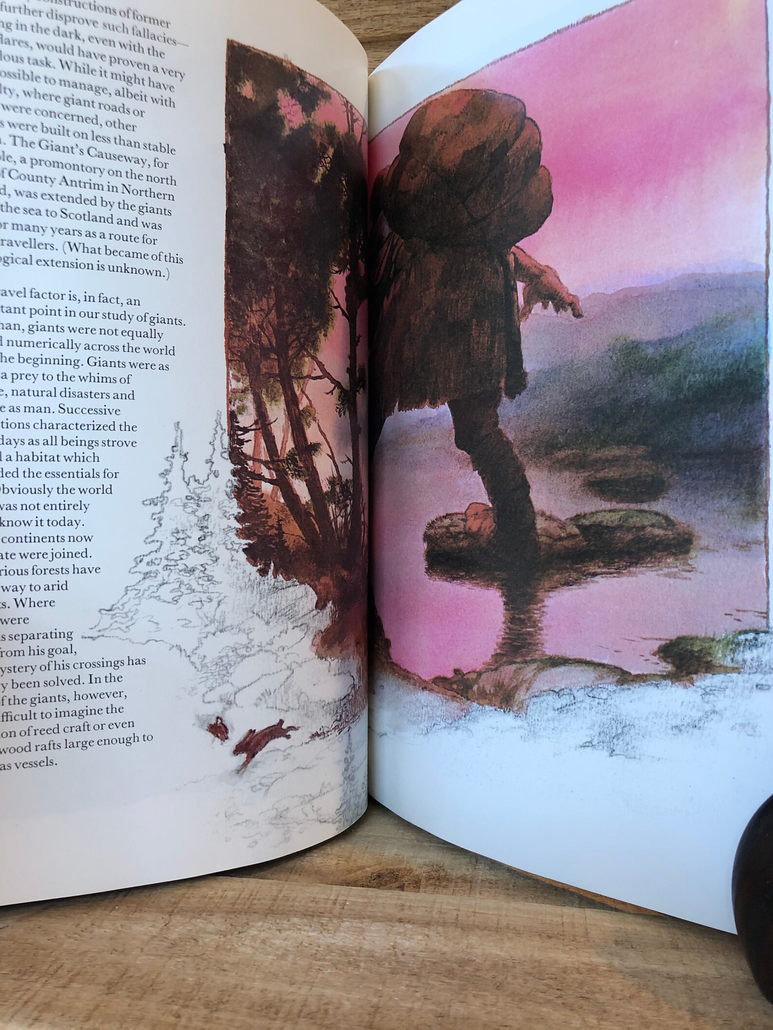 Giants Illustrated by Julek Heller With Dust Jacket 1979 Etsy