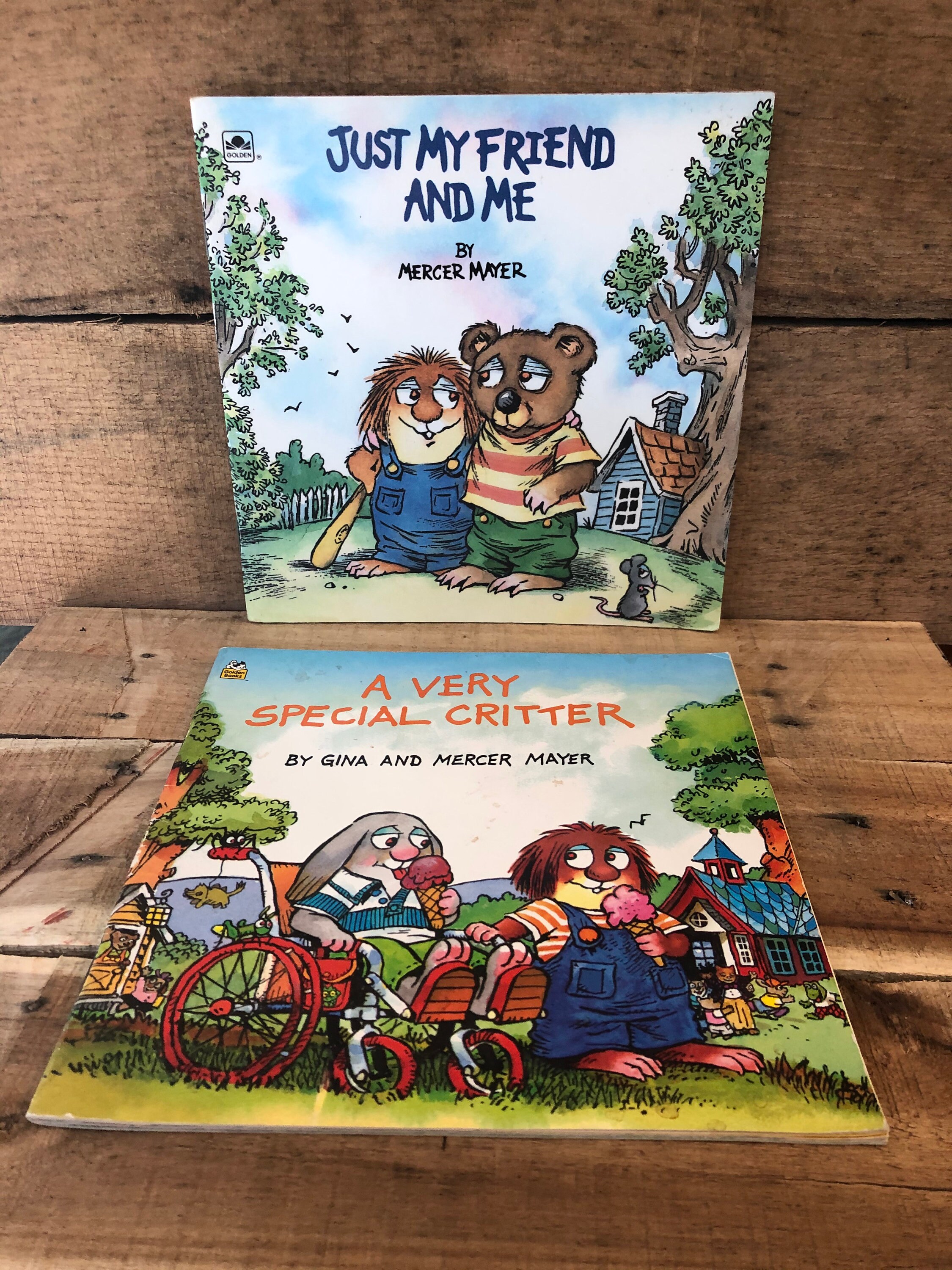 Mercer Mayer Set of Five Books Little Critter Etsy