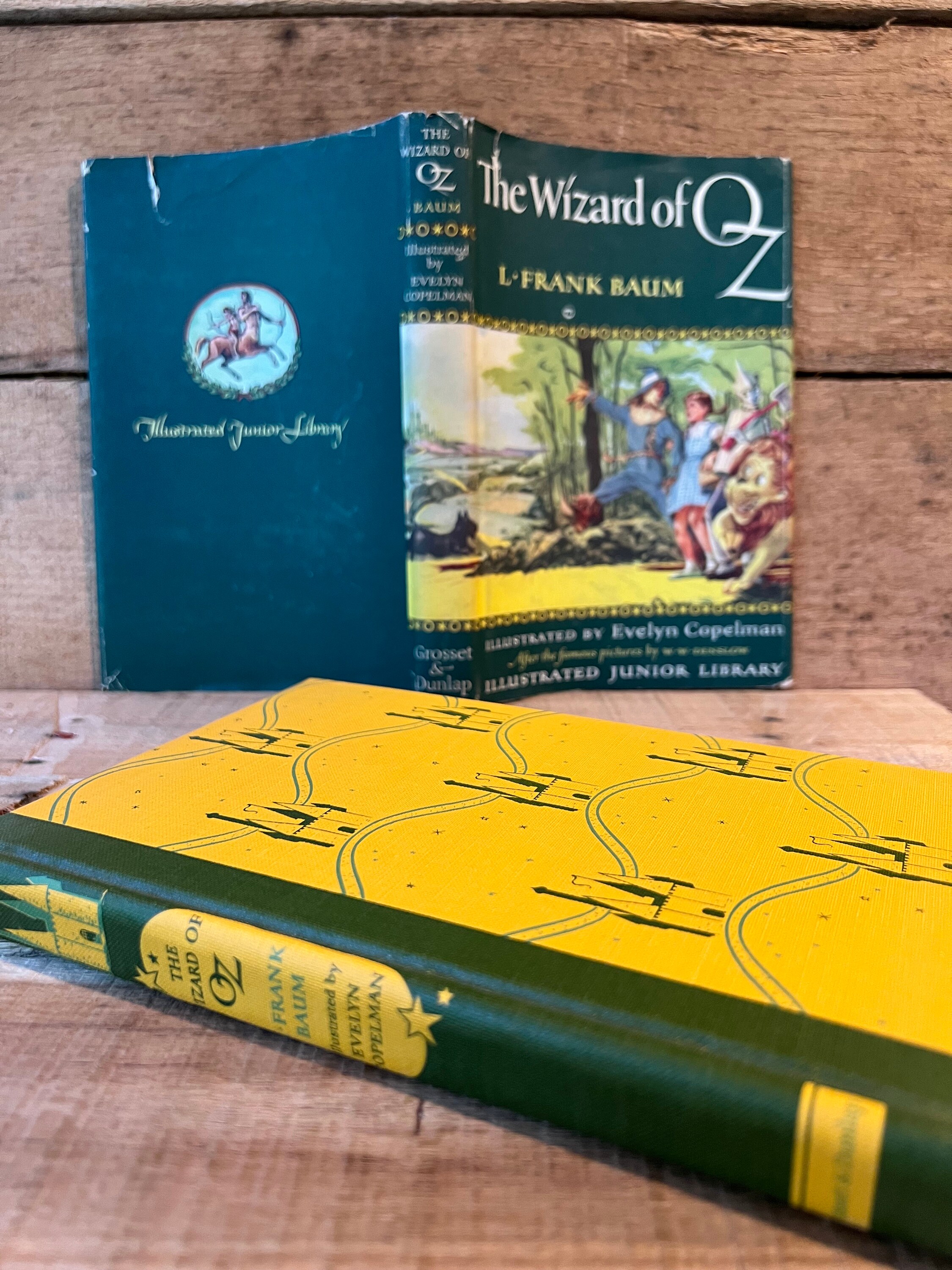 The Wizard of Oz Illustrated Junior Library: With Dust