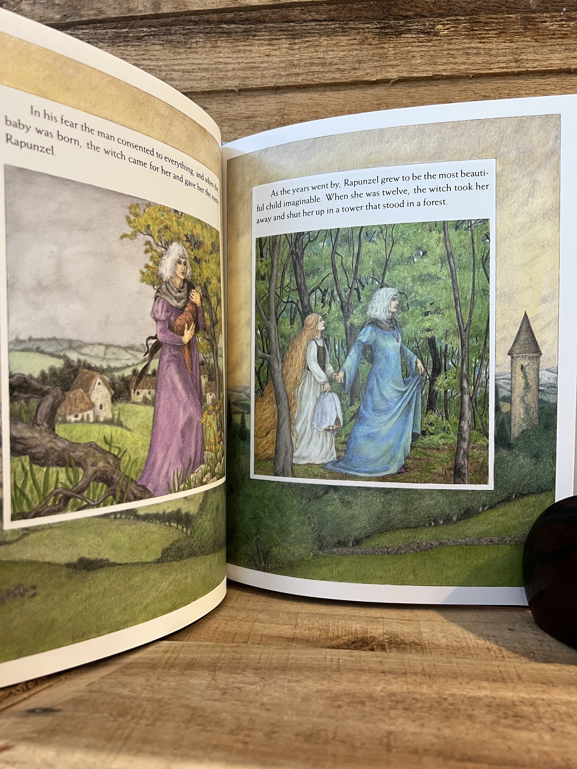 Rapunzel by the Brothers Grimm, Retold by Amy Ehrlich, Pictures by
