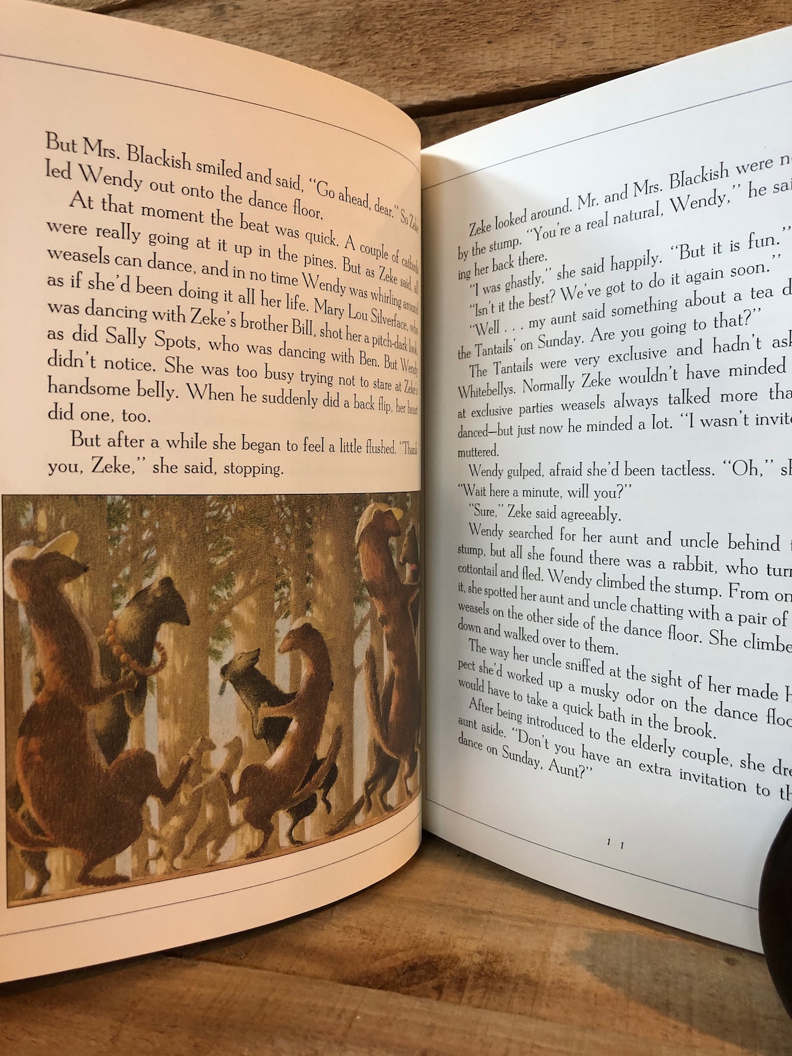 The Wainscott Weasel by Tor Seidler Illustrated by Fred Etsy