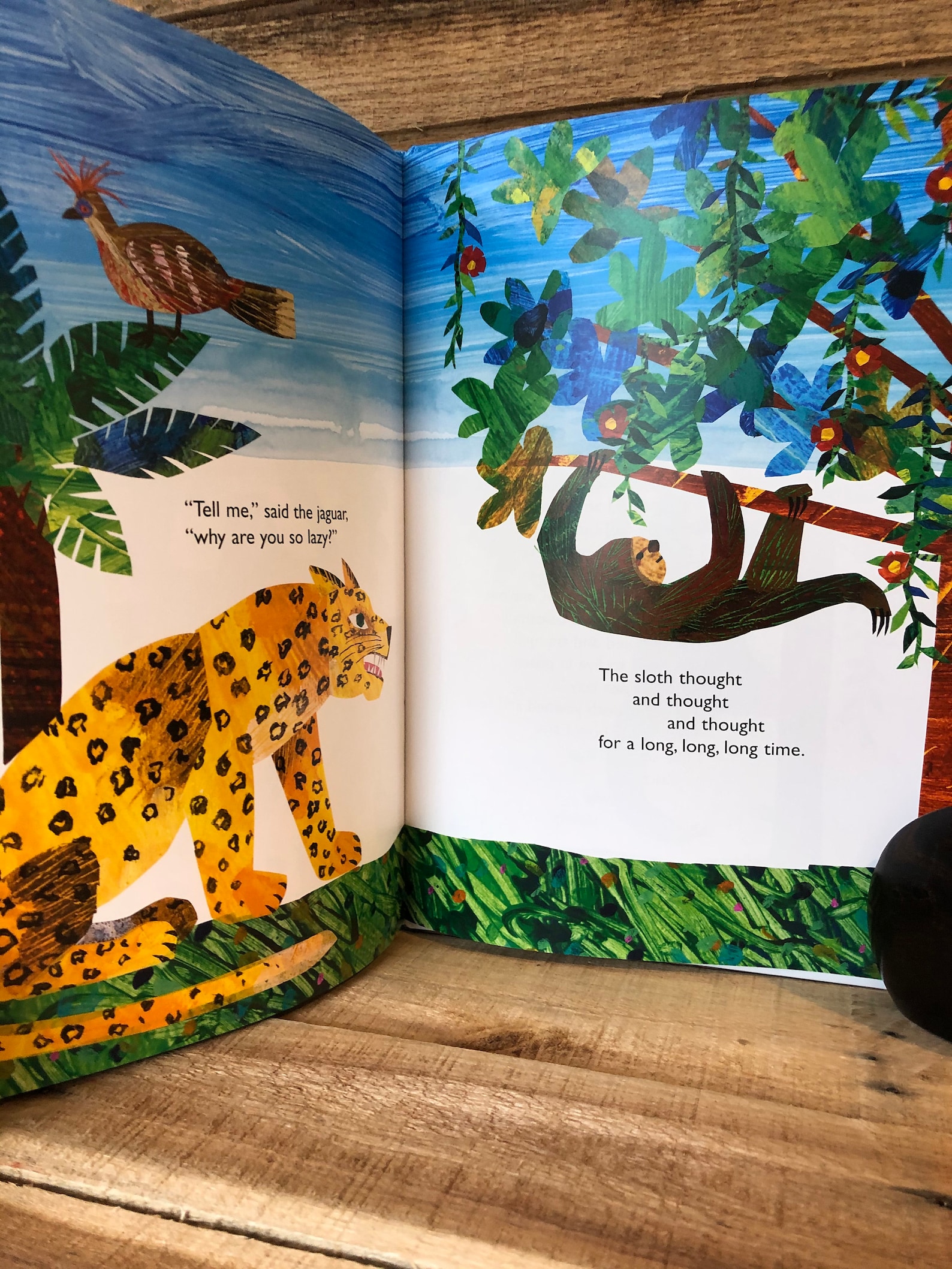 Slowly Slowly Slowly Said the Sloth by Eric Carle: 2002 | Etsy