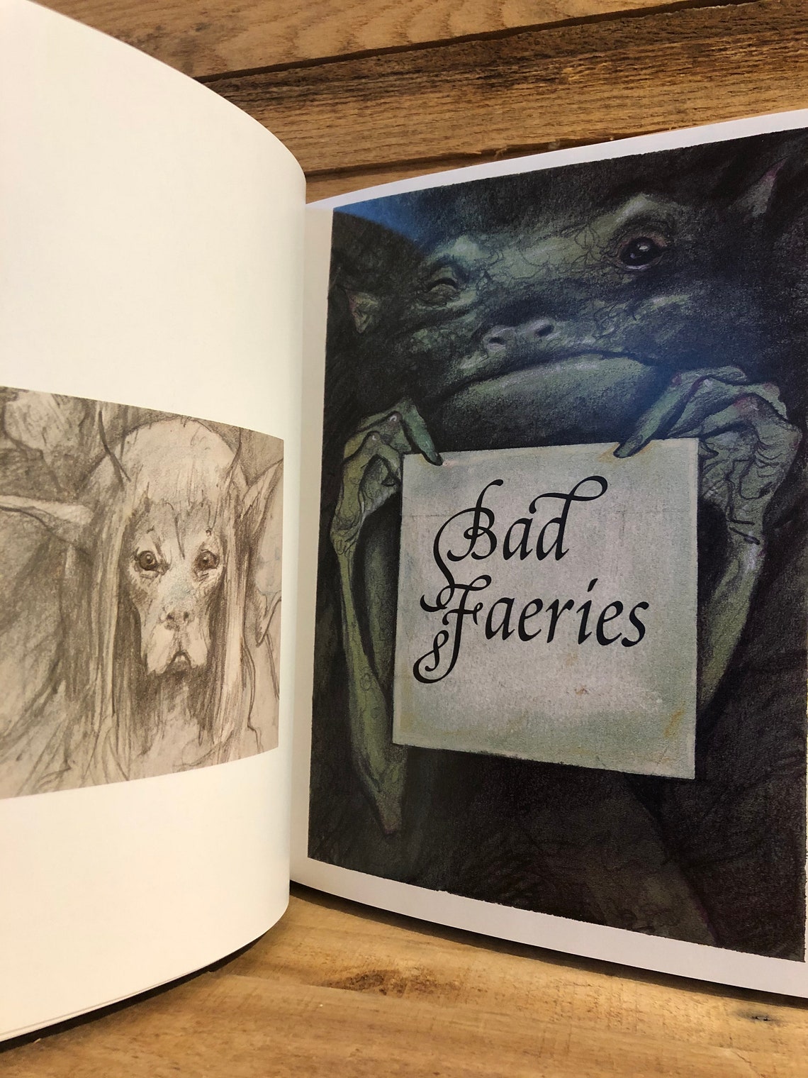 good faeries bad faeries by brian froud good faeries bad faeries by brian froud