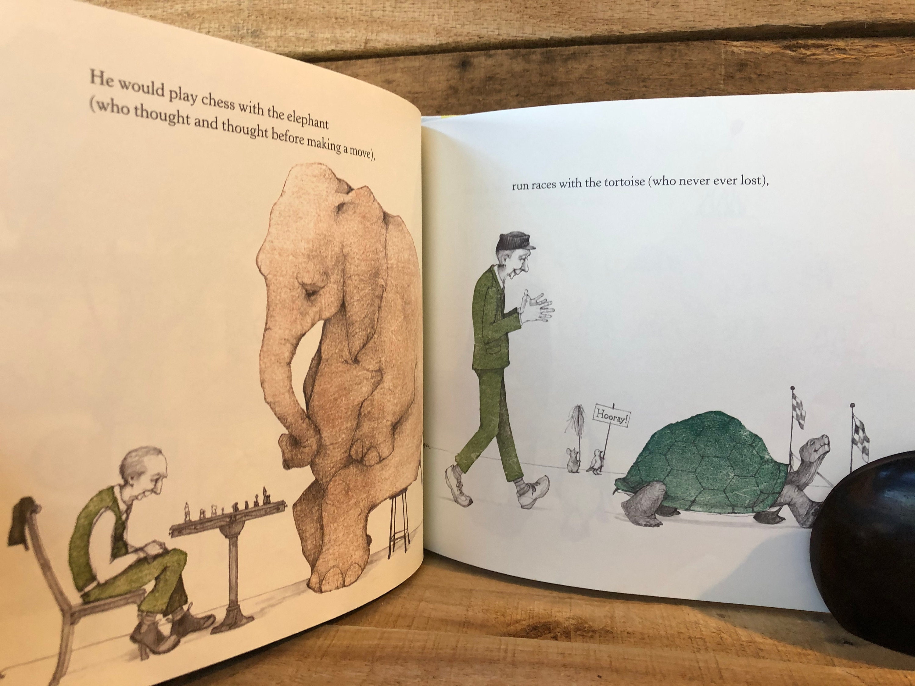 A Sick Day for Amos McGee by Philip C. Stead