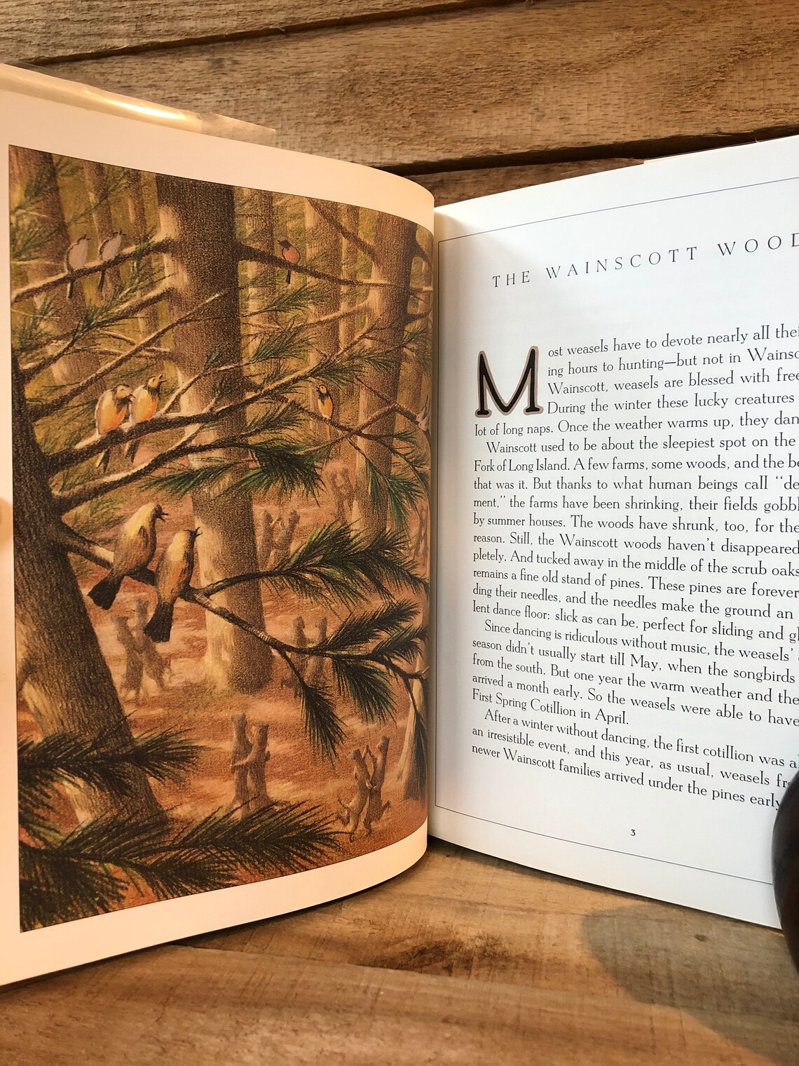 The Wainscott Weasel by Tor Seidler Illustrated by Fred Etsy