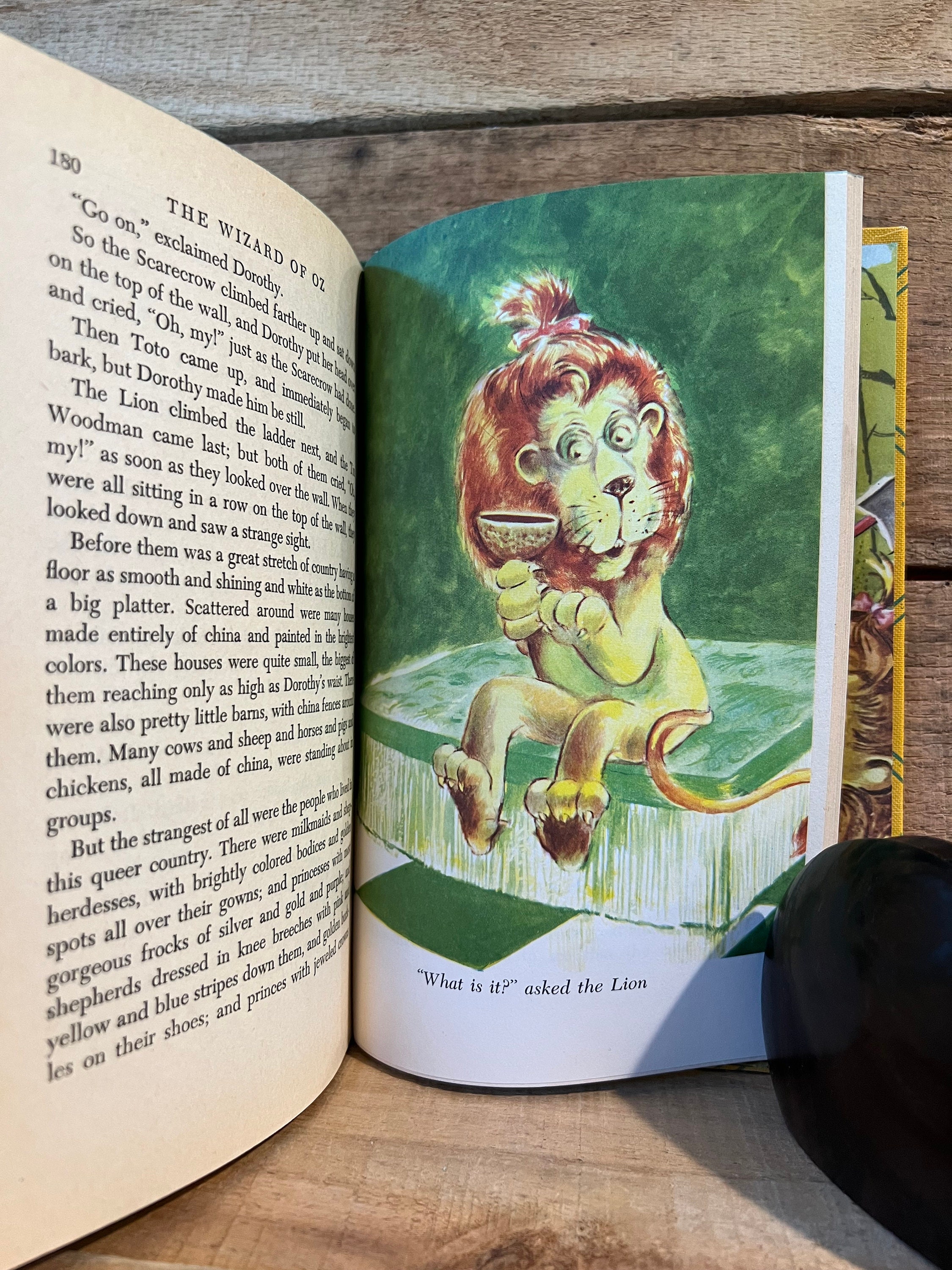 The Wizard of Oz Illustrated Junior Library: With Dust