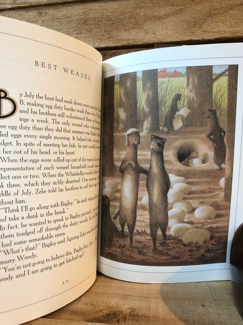 The Wainscott Weasel by Tor Seidler Illustrated by Fred Etsy