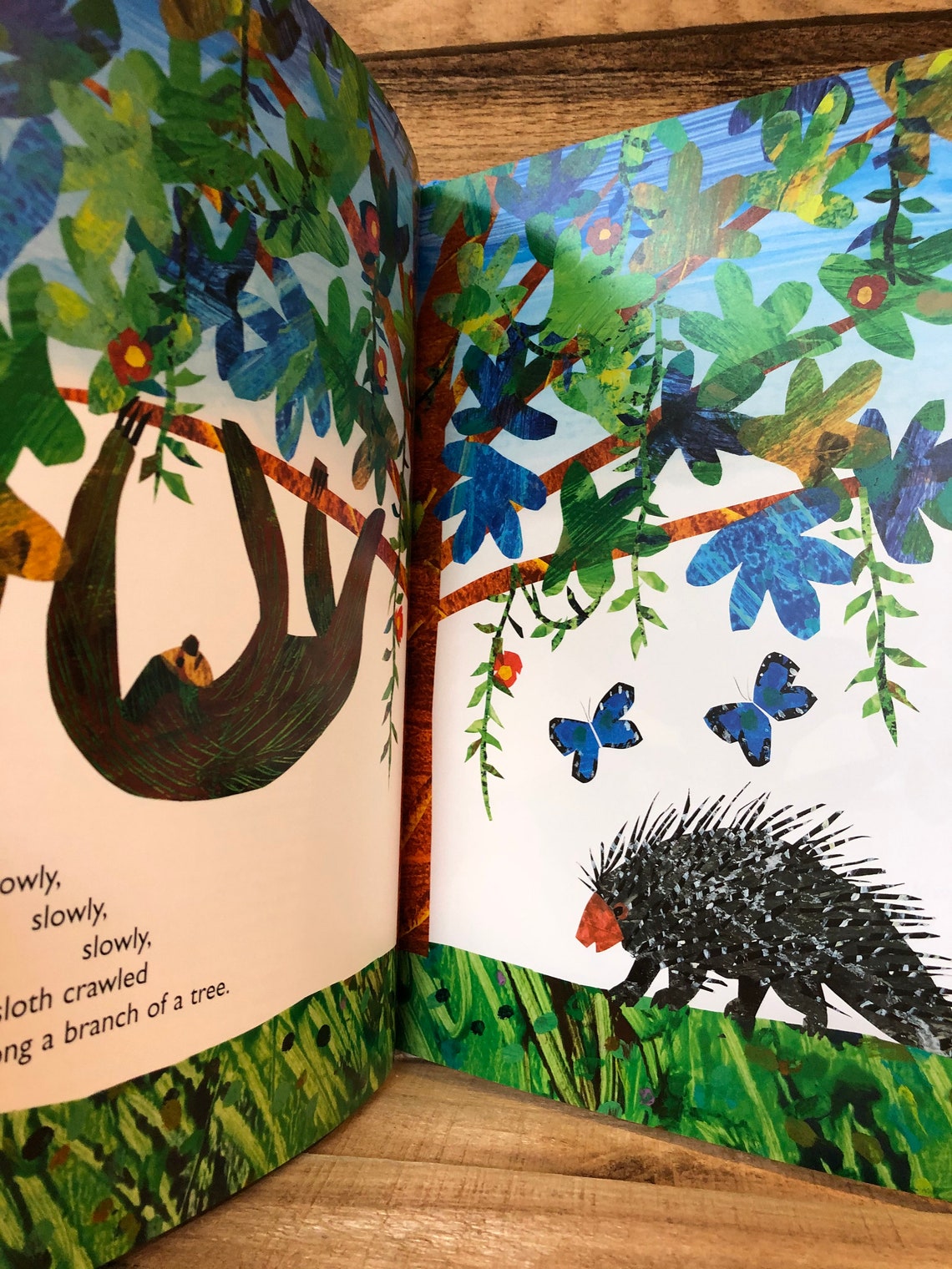 Slowly Slowly Slowly Said the Sloth by Eric Carle: 2002 | Etsy